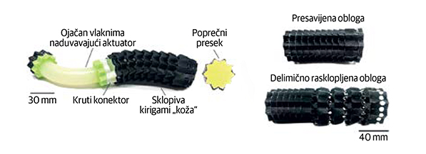 Tema broja